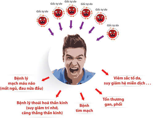 Hình ảnh bài viết