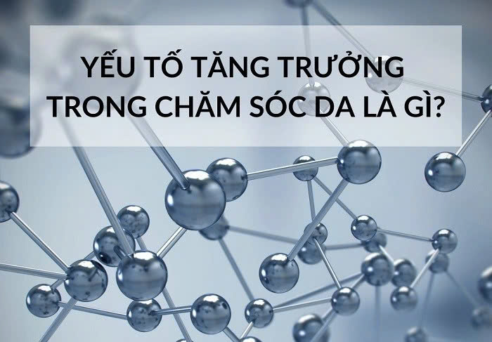 Hình ảnh bài viết