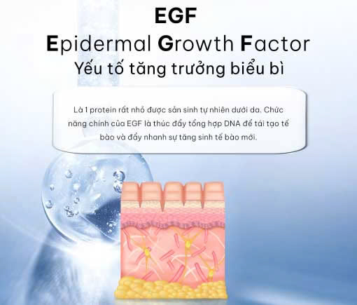 Hình ảnh bài viết
