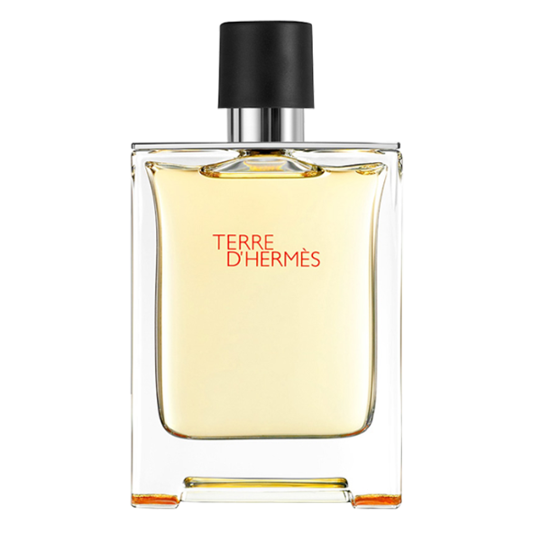Terre D'Hermes EDT