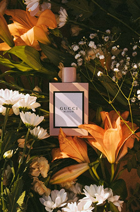 Nước hoa Guicci chính hãng