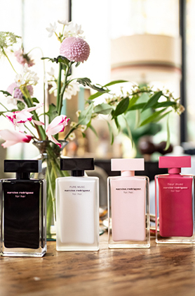 Narciso chính hãng, giá hợp lý