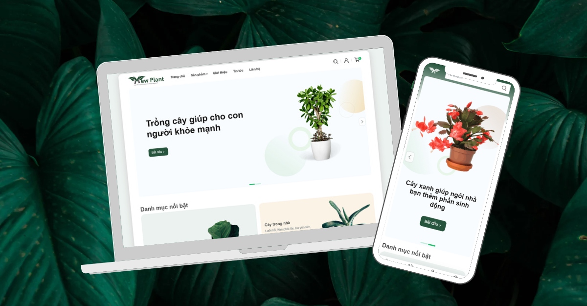 Hướng dẫn sử dụng Mew Plant