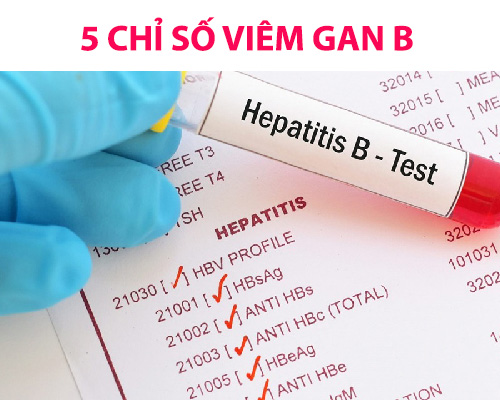 Giải thích ý nghĩa của 5 chỉ số viêm gan B
