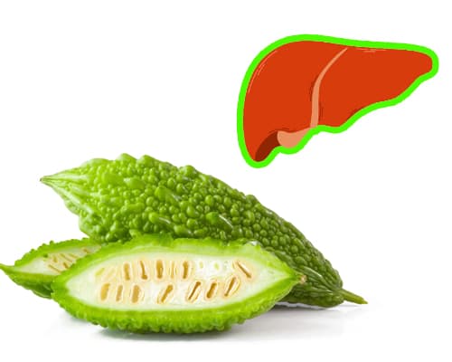 Ăn mướp đắng sống có tác dụng gì? Có tăng men gan không