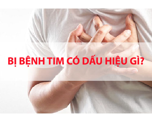 Bị bệnh tim có dấu hiệu gì? Nhận biết sớm để phòng tránh nguy cơ