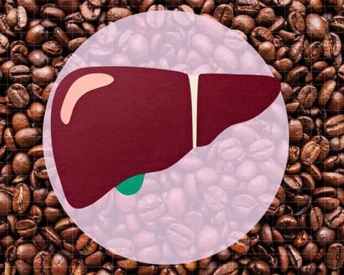 Cà phê tốt cho gan không? Giải đáp dễ hiểu