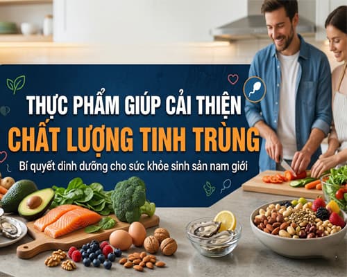 Top 7 thực phẩm giúp cải thiện chất lượng tinh trùng hiệu quả