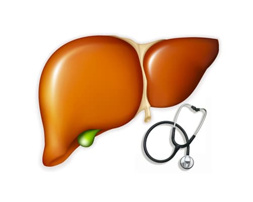 Chiều cao gan bình thường là bao nhiêu cm? Cập nhật theo độ tuổi