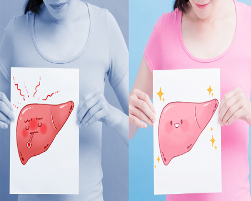 Dấu hiệu gan đang thải độc là gì? Nhận biết đúng, tránh hiểu lầm