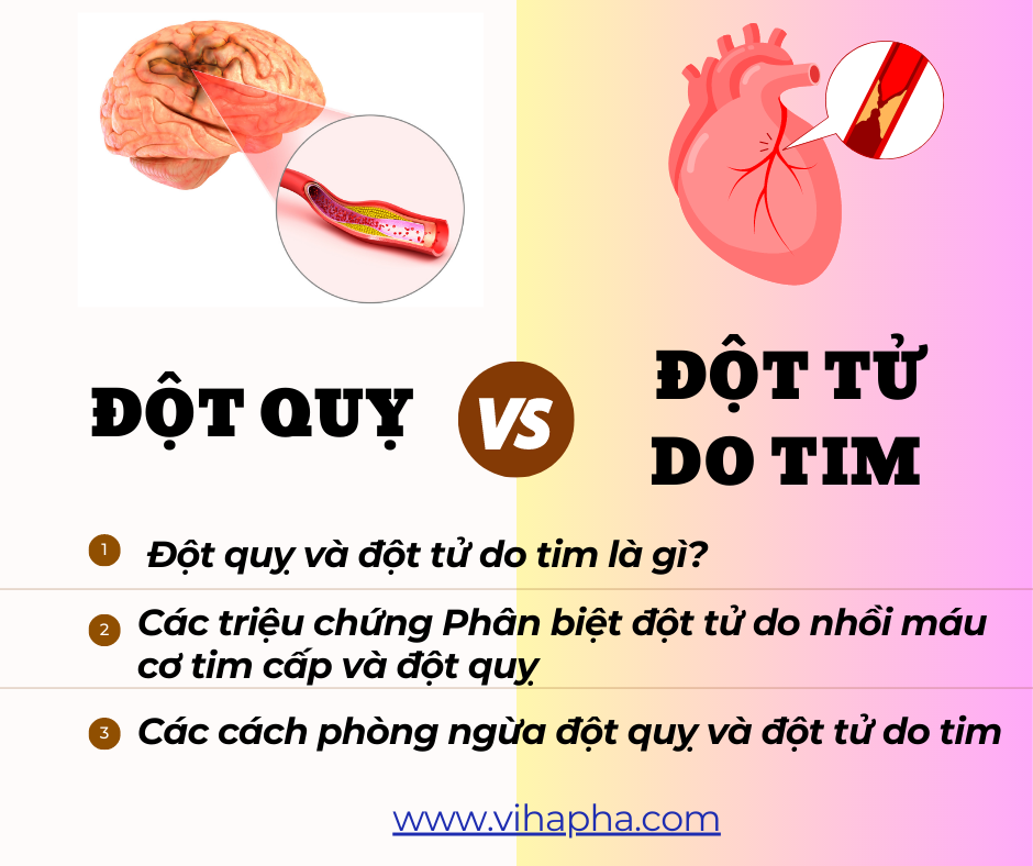 Đột quỵ và đột tử do tim: Sự khác biệt và tầm quan trọng trong việc nhận diện và xử trí cấp cứu