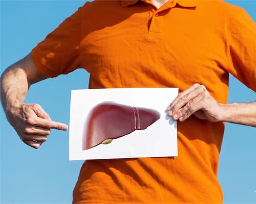 Gan có tự phục hồi không? Giải đáp chi tiết