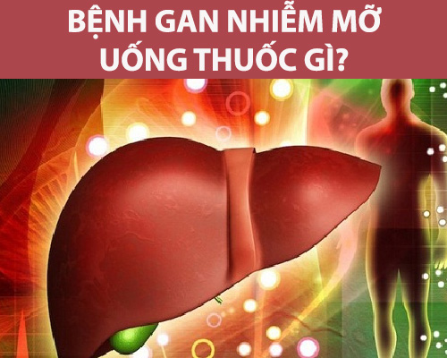 Bệnh gan nhiễm mỡ uống thuốc gì?