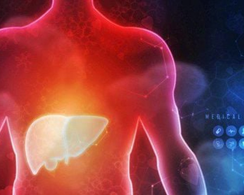 Gan thải độc qua đường nào? Cách bảo vệ sức khỏe gan