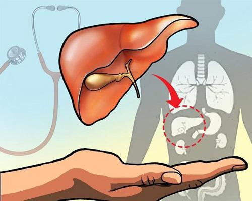 Hội chứng gan phổi có nguy hiểm không và dấu hiệu nhận biết