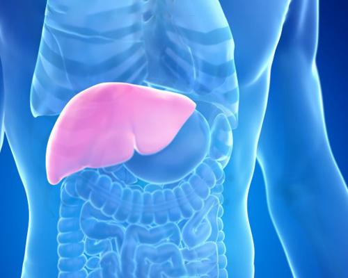 Kích thước gan bình thường trên siêu âm là bao nhiêu?