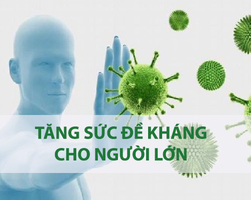Làm sao để tăng sức đề kháng cho người lớn hay ốm vặt?