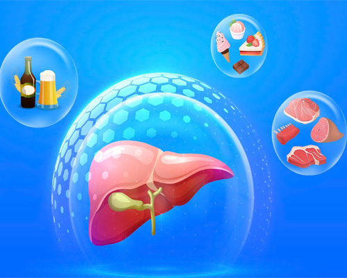 Men gan cao nên ăn gì? Danh sách 10 thực phẩm giúp hạ men gan