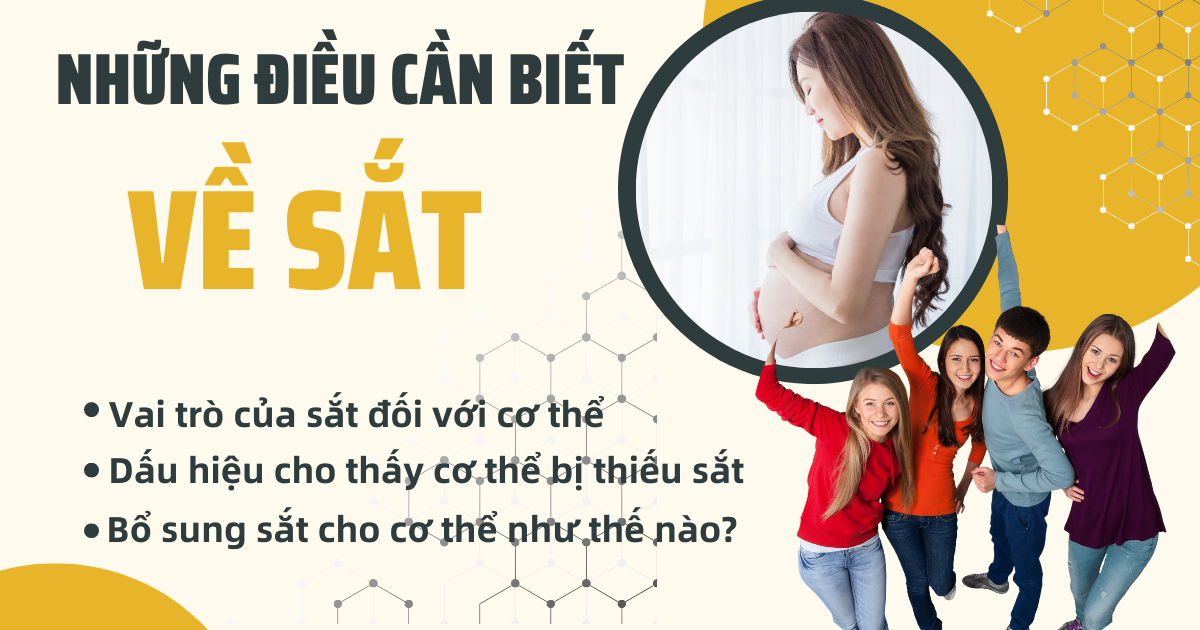 Sắt - Quan Trọng Như Thế Nào Đối Với Sức Khỏe Của Bạn: Khi Nào Cơ Thể Cần Bổ Sung Sắt