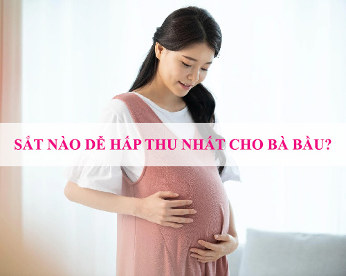Sắt nào dễ hấp thu nhất cho bà bầu