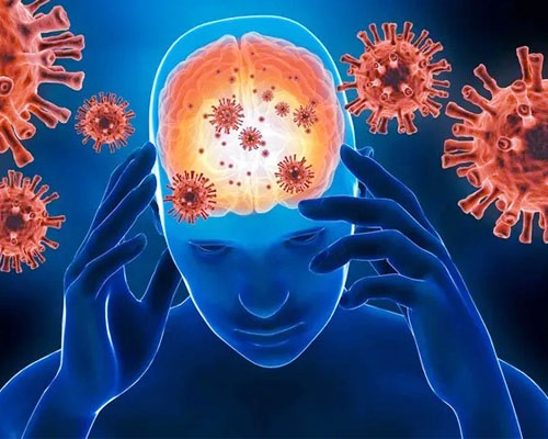 Viêm màng não: Triệu chứng, nguyên nhân và thuốc điều trị