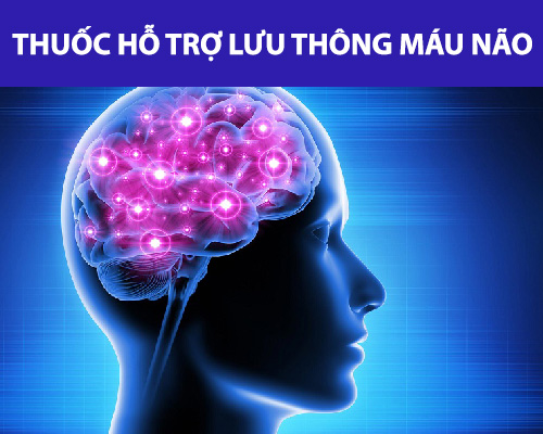 Thuốc hỗ trợ lưu thông máu não dùng thế nào để có lợi nhất?