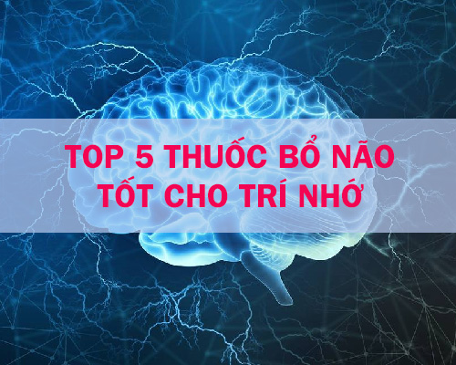 Top 5 thuốc bổ não tốt cho trí nhớ và não bộ khỏe mạnh