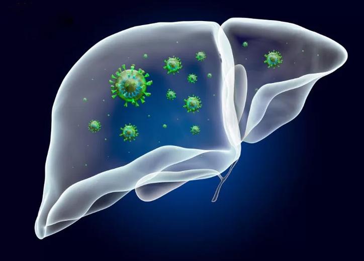 U gan đa ổ là bệnh gì và có nguy hiểm không?