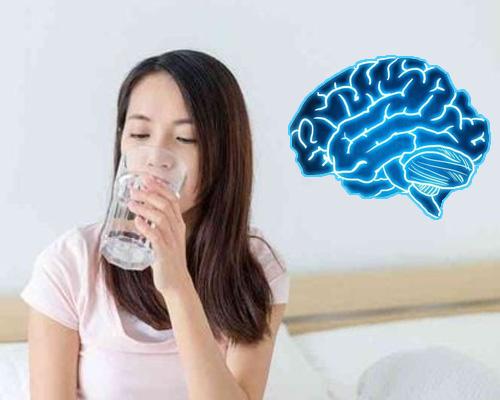 Uống nước gì tốt cho não? 5 loại nước hỗ trợ trí nhớ hiệu quả