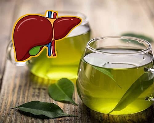 Uống trà xanh có tốt cho gan không? Cách uống đúng để không hại gan
