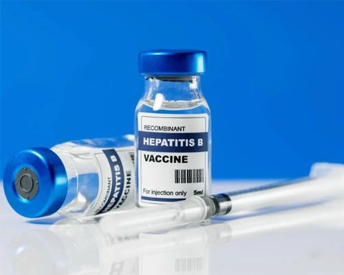 Vắc xin viêm gan B tiêm mấy mũi cho người lớn?