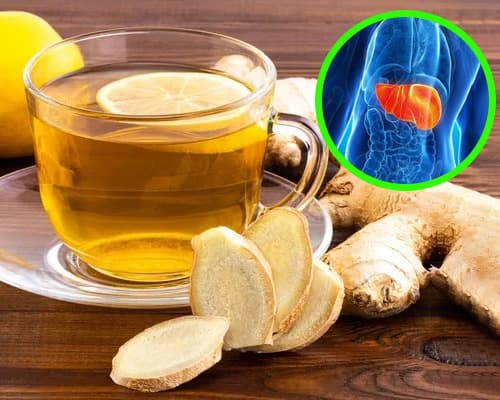 Viêm gan B uống trà gừng được không? Lưu ý cần biết