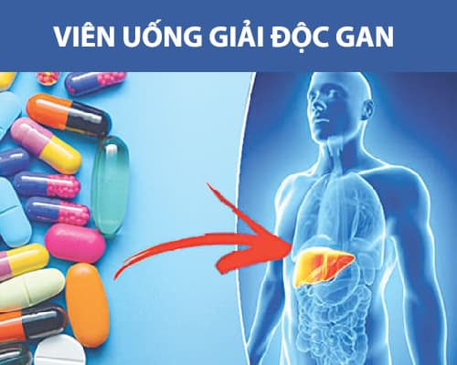 Viên uống giải độc gan: Tác dụng và đối tượng nên dùng