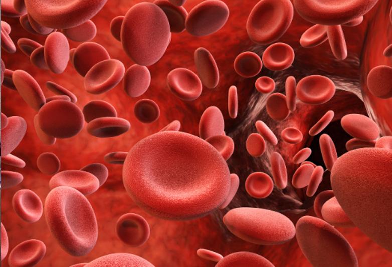 Chỉ số bilirubin là gì