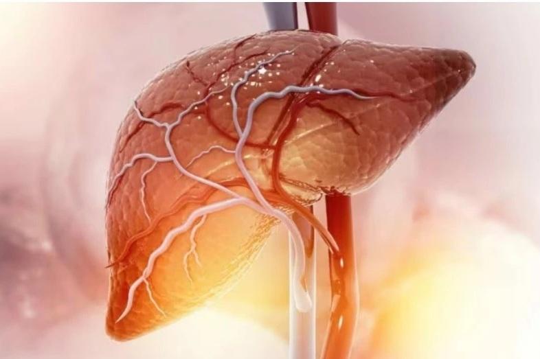 Gan nhiễm mỡ sau sinh