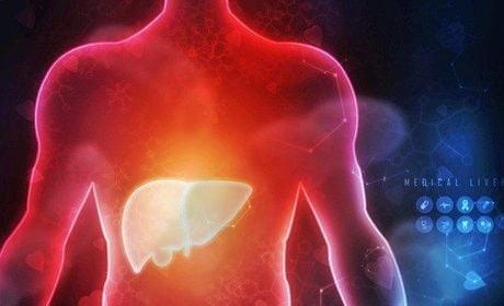 Gan quá tải độc tố