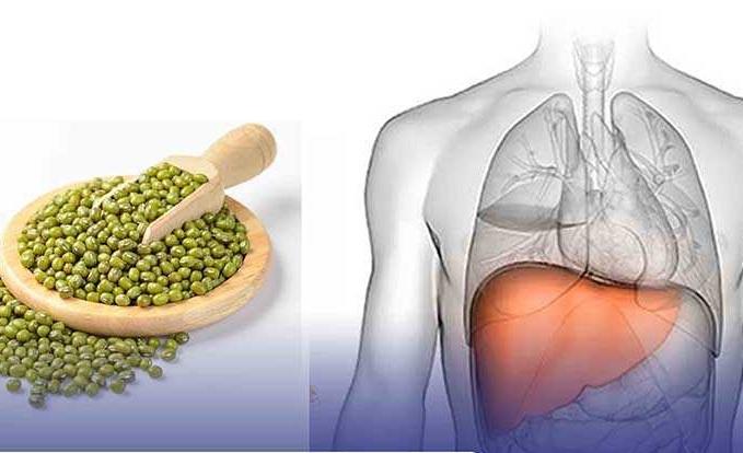 Nước đậu xanh hỗ trợ giải độc gan