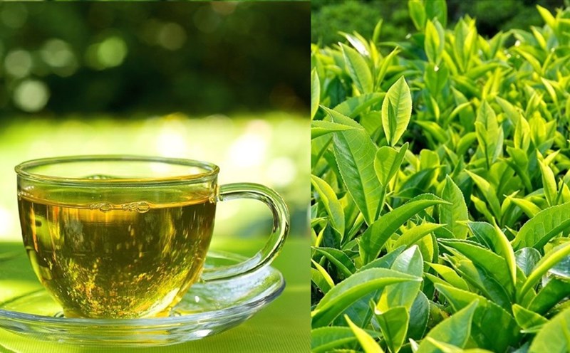 Trà xanh hỗ trợ giải độc gan