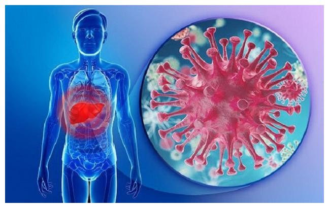 Viêm gan b thể ngủ