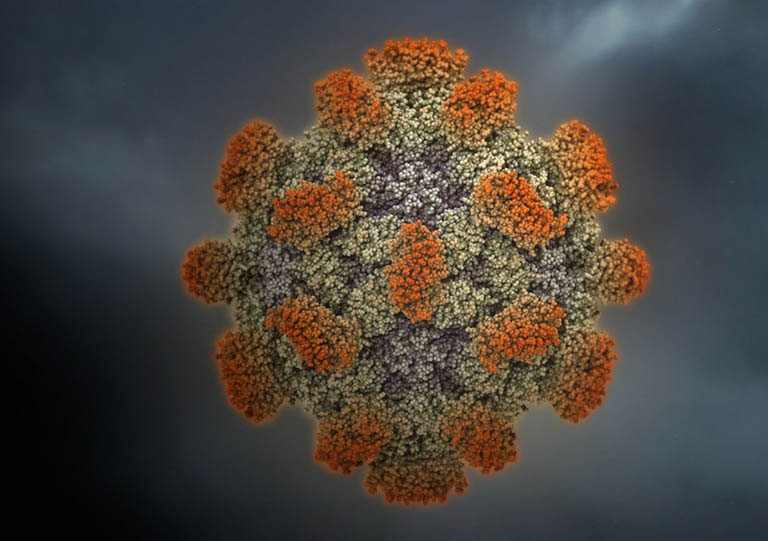 Viêm gan E là gì, nguyên nhân gây bệnh