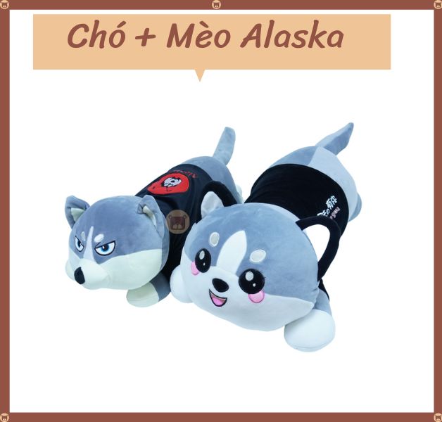 Chó Mèo Alaska