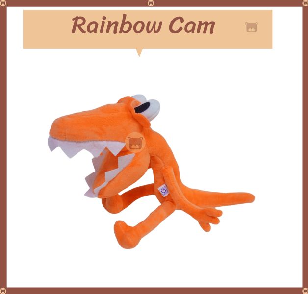 Rainbow Cam