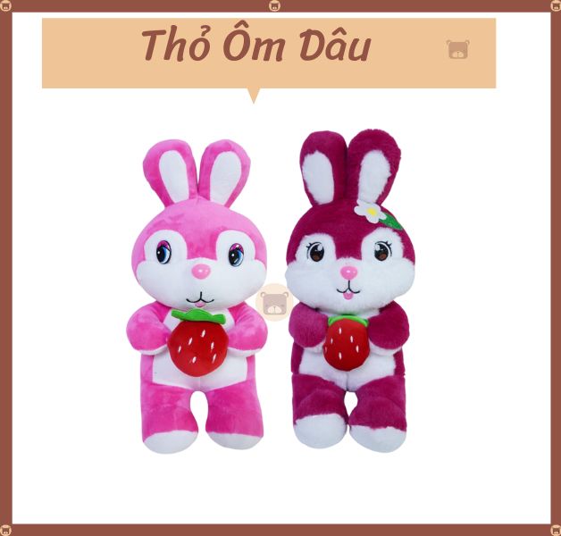 Thỏ Ôm Dâu