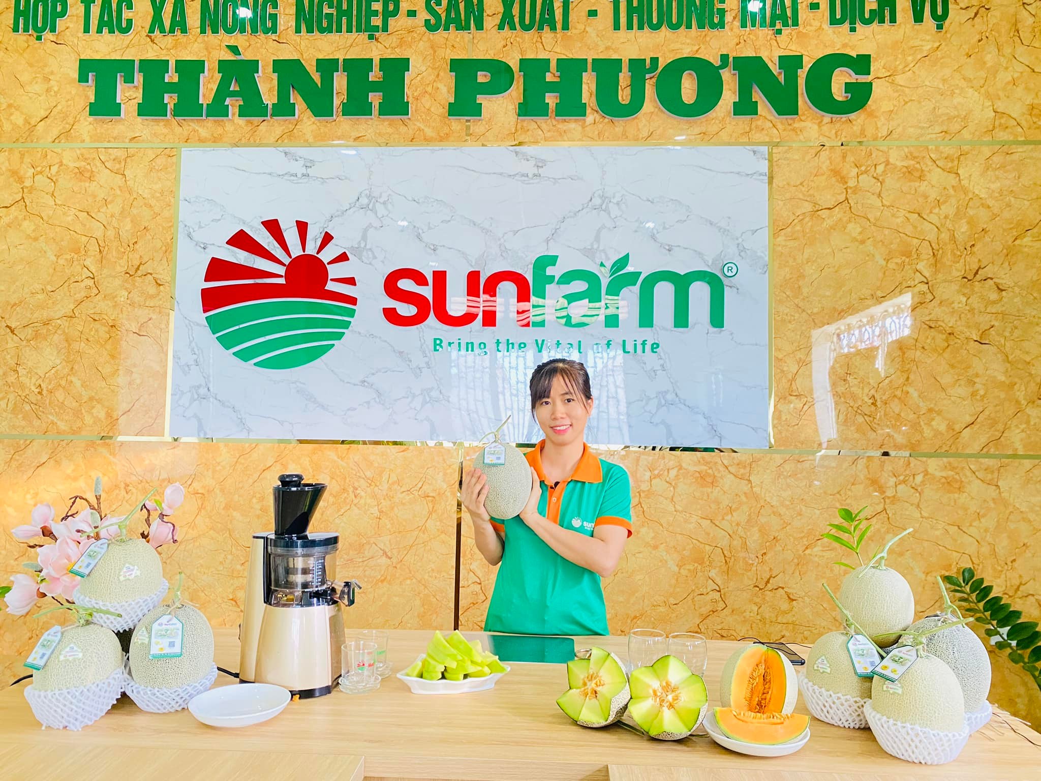 Sunfarm bật mí 7 cách chọn dưa lưới tươi ngon đúng chuẩn