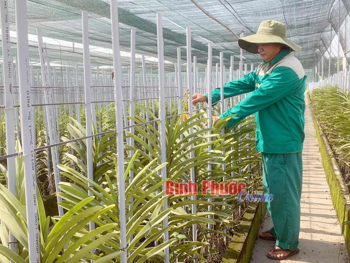 Ứng dụng công nghệ số vào sản xuất nông nghiệp tại Bình Phước