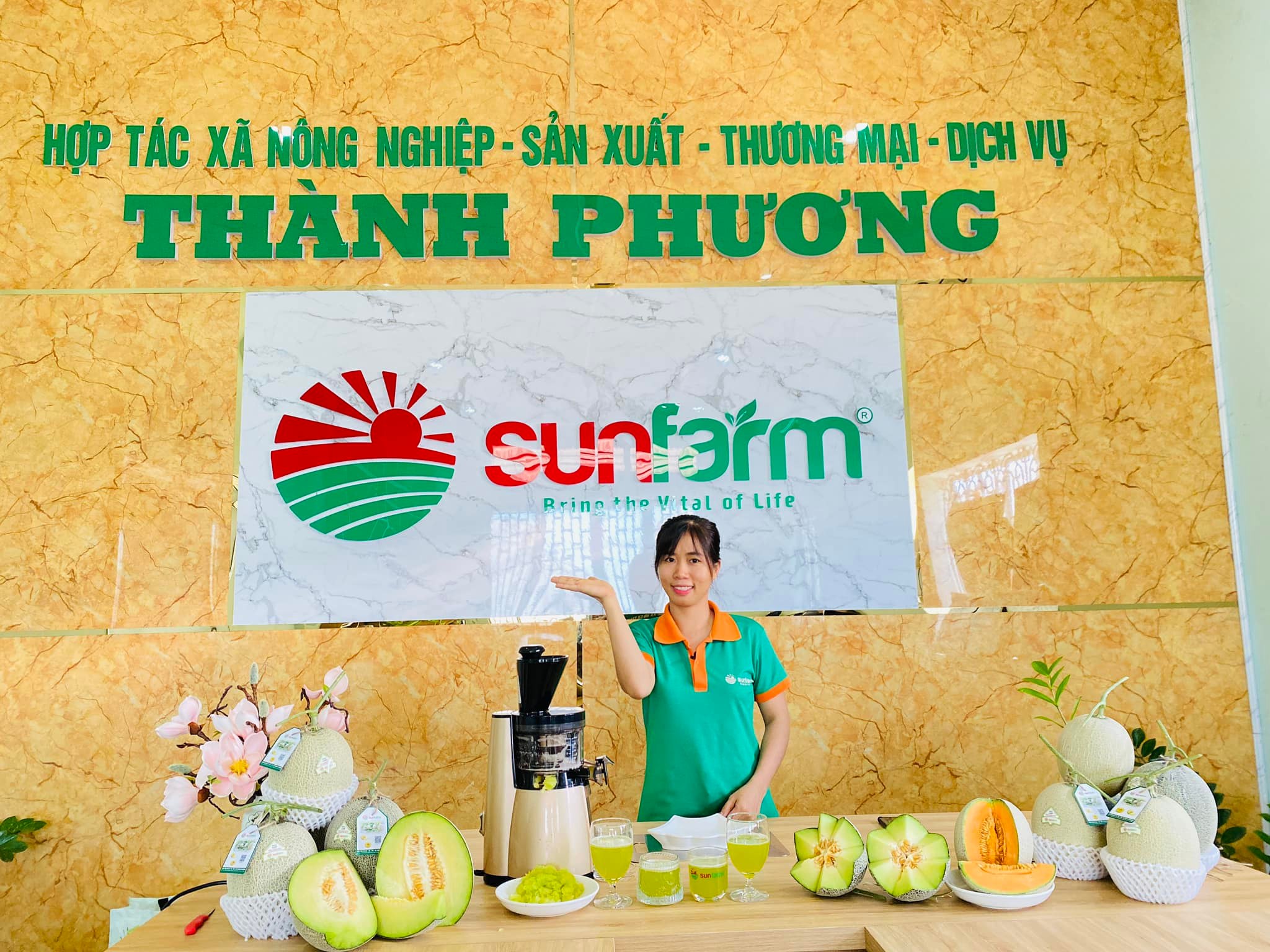 Nên chọn dưa lưới từ đơn vị uy tín