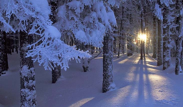 Cách xử lý lỗi phong thủy trong gia đình bí mật và tuyệt học chưa từng tiết lộ