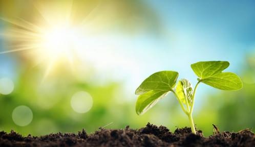 Cách xử lý lỗi Xử lý lỗi phong thủy trong doanh nghiệp bí mật và tuyệt học chưa từng tiết lộ chi tiết