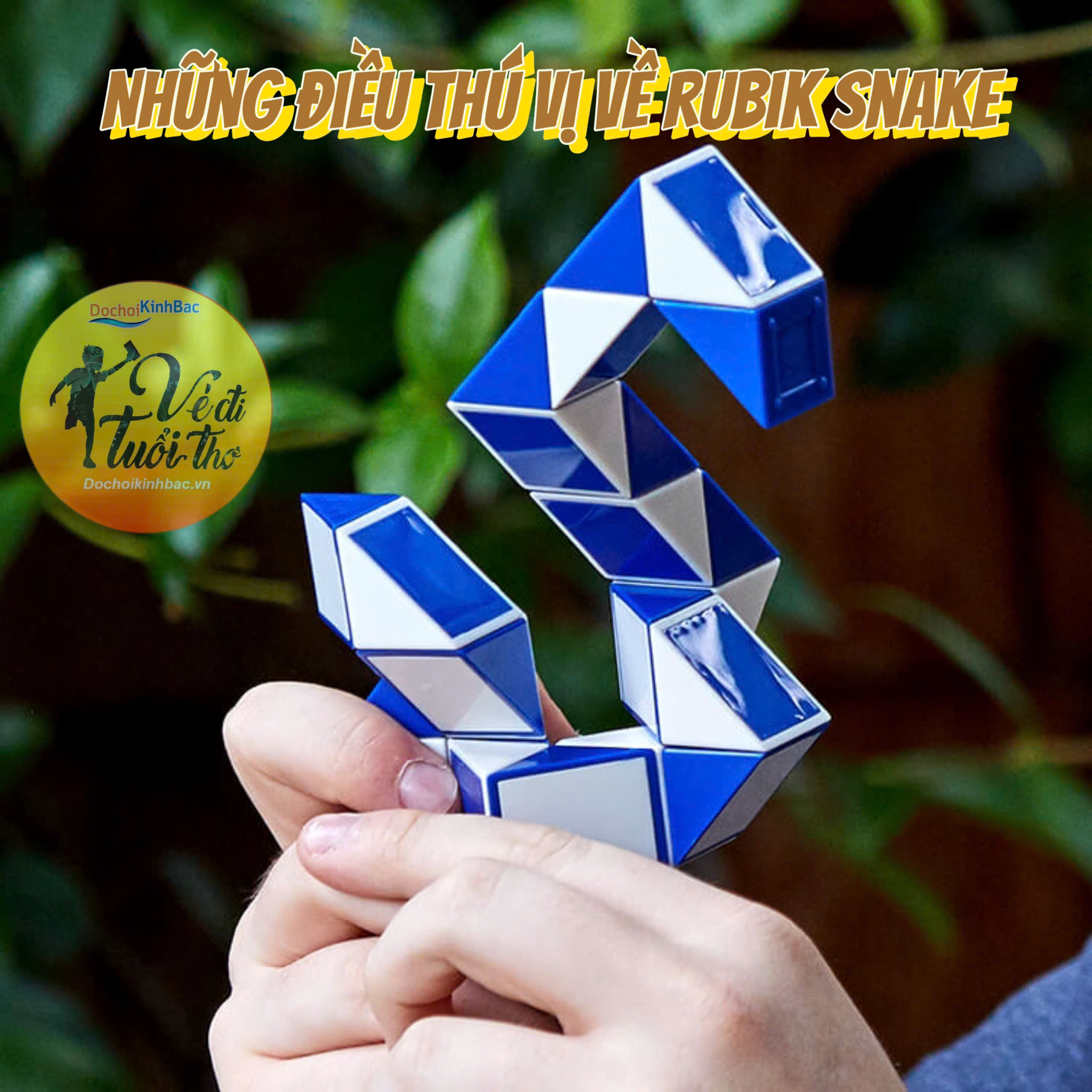 Những Điều Thú Vị Về Rubik Snake