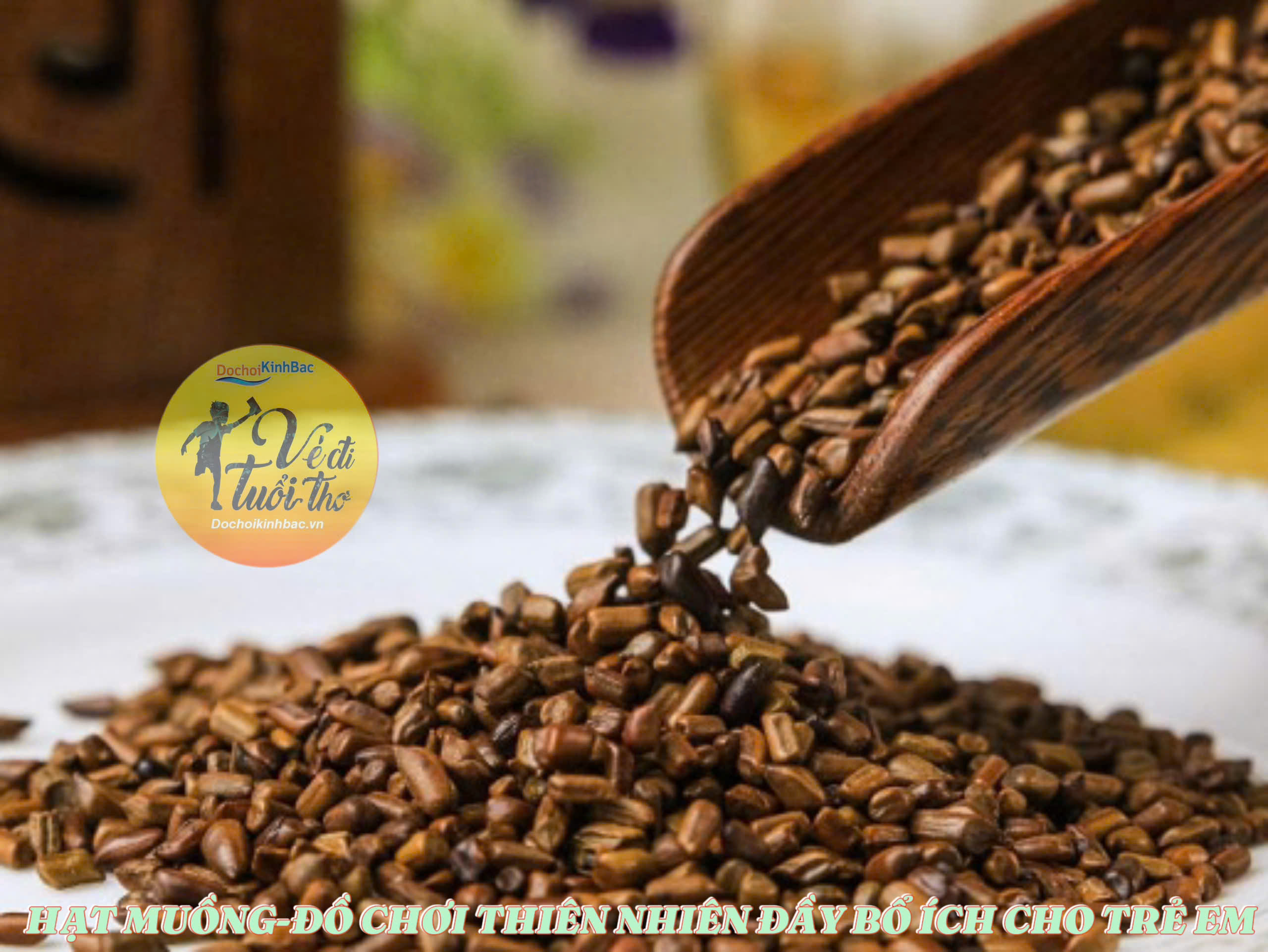 Hạt Muồng – Đồ Chơi Thiên Nhiên Đầy Bổ Ích Cho Trẻ Em